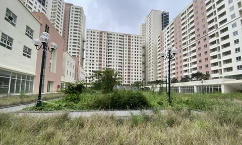 Cảnh báo pháp lý mới: 7 hành vi vi phạm đất đai có thể bị khởi tố từ 25/1/2026