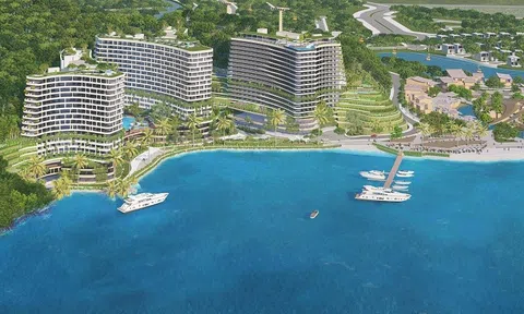 Vinaconex ITC phát sinh hơn 600 tỷ đồng tiền đặt cọc sau khi về tay MIK Group, nhưng vẫn chưa thoát chuỗi thua lỗ