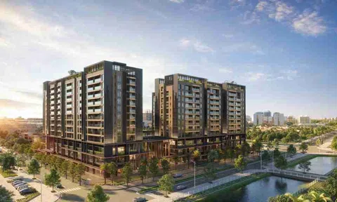 Taseco Group bán hơn 10 triệu cổ phiếu Taseco Land, giảm tỷ lệ sở hữu xuống 60%