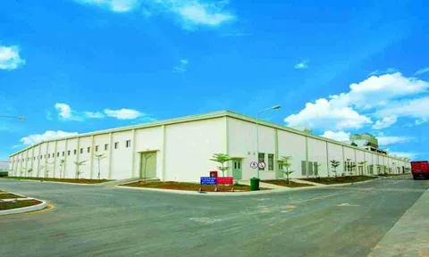 Ninh Bình giao gần 100 ha đất cho doanh nghiệp làm khu công nghiệp