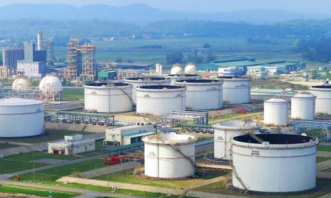 Lọc hóa dầu Bình Sơn làm ăn ra sao trước nguy cơ mất tư cách công ty đại chúng?