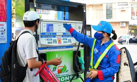 Khi chính sách trở thành “lá chắn” kinh tế