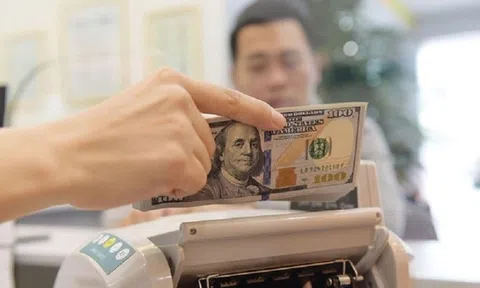 Tỷ giá còn chịu áp lực ngắn hạn, dự báo ổn định trong trung hạn