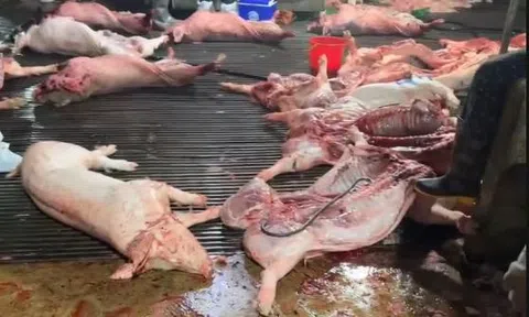 Khi thực phẩm bẩn "len lỏi" vào bữa ăn học đường