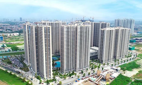 Đầu tư Xây dựng Thái Sơn: Lợi nhuận lao dốc gần 99%