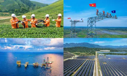 Bước chuyển từ khuyến khích sang hành động