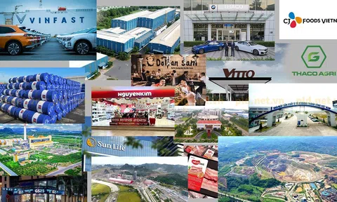 Tăng cường quản lý thuế đối với doanh nghiệp thua lỗ nhiều năm, lãi mỏng