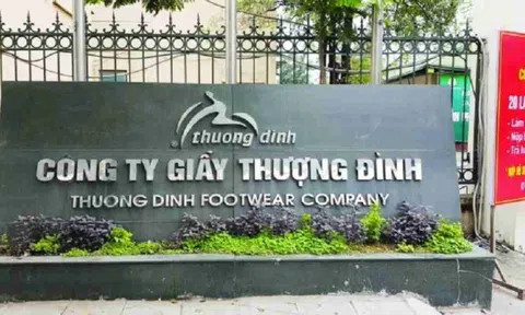 Sau thương vụ Vinaconex, An Quý Hưng Holding tiếp tục gom cổ phần Giầy Thượng Đình