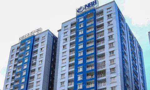 Năm Bảy Bảy bị phạt vì giao dịch liên quan đến CII chưa được thông qua