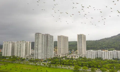 Quảng Ninh “điểm danh” 68 dự án vướng mắc kéo dài, yêu cầu xử lý dứt điểm trong năm 2026