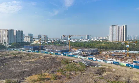 Ông Lương Trí Thìn nói gì về việc đổi tên Tập đoàn Đất Xanh?