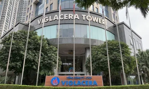 Viglacera bầu lãnh đạo MIK Group vào HĐQT, hé lộ kế hoạch mở rộng loạt khu công nghiệp trăm ha