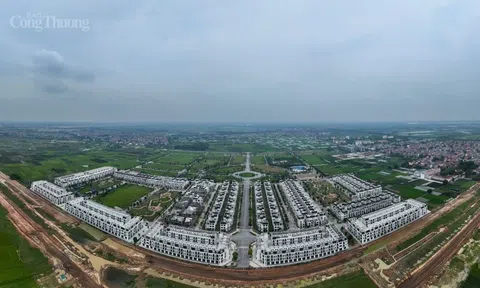 Trách nhiệm chủ đầu tư - Không thể biến sai phạm đất đai thành “việc đã rồi”