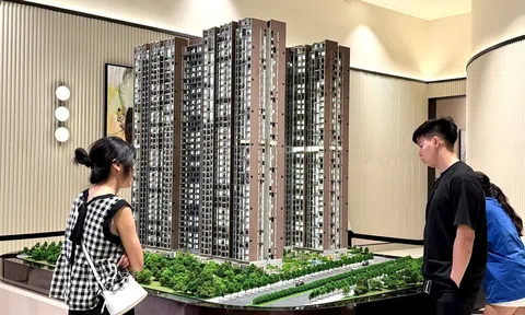 Thị trường bất động sản chuyển sang nhu cầu ở thực và đầu tư dài hạn