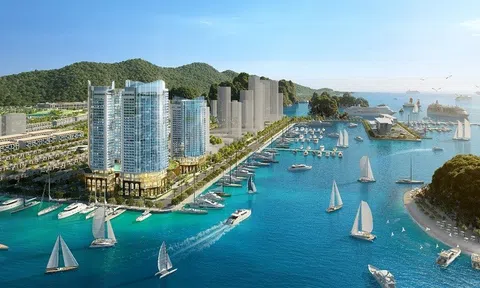 Công ty bất động sản tiết lộ đã bán hơn 1.000 căn hộ tại dự án nghỉ dưỡng ở Vân Đồn, phát triển cùng lúc 16 dự án tại nhiều tỉnh thành