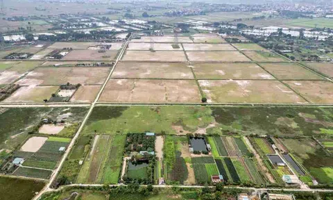 Thu hồi gần 28 ha đất lúa tại Tam Hưng để triển khai phân khu đầu tiên của đại đô thị Olympic