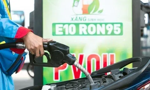 Bộ Công Thương yêu cầu hãng xe đánh giá tác động của xăng E10, báo cáo trước ngày 5/6