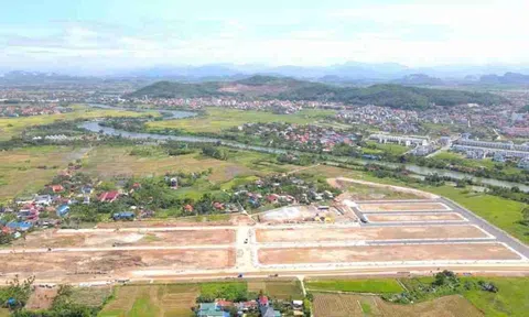Sắp đấu giá khu đất hơn 2,6 ha tại Bắc sông Cấm với giá khởi điểm gần 785 tỷ đồng