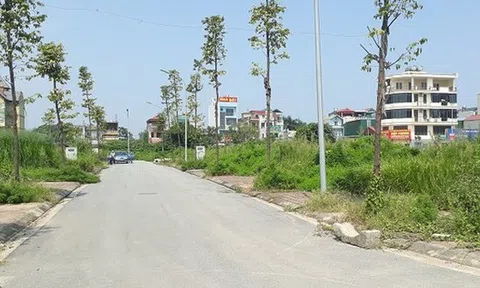 Hà Nội chuẩn bị đấu giá khu đất hơn 2 ha với giá khởi điểm gần 1.100 tỷ đồng