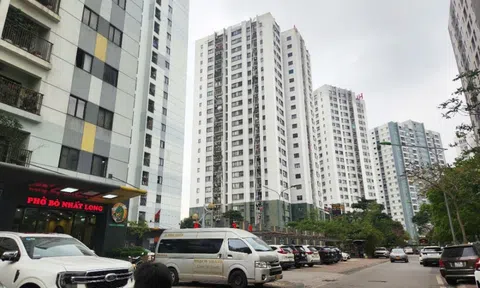 Hà Nội miễn tiền sử dụng đất cho dự án nhà ở cho thuê và cho phép bán 50% quỹ căn thương mại