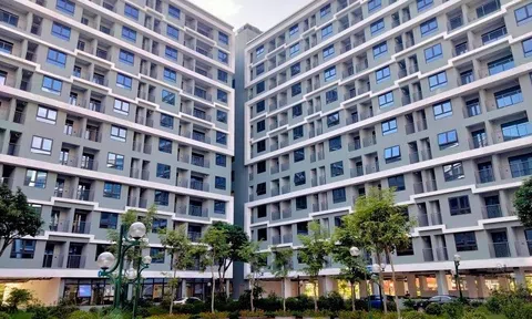 Nên vay 15 năm hay 25 năm khi mua nhà ở xã hội?