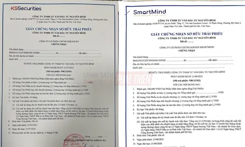 Nguyên Bình báo lỗ gần 27 tỷ đồng năm 2025 nhưng vẫn tất toán gần 1.081 tỷ đồng trái phiếu đến hạn
