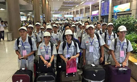 Phân tích từ hai mô hình di trú Nhật - Hàn