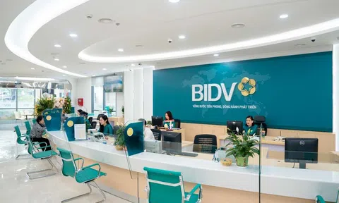 BIDV Bình Định chưa định giá lại tài sản bảo đảm theo quy định