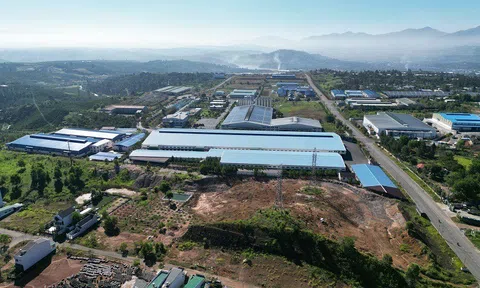 Bị mất sổ đỏ, thủ tục cấp lại thế nào tại Lâm Đồng theo quy định mới nhất?
