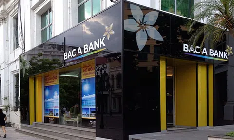 Dự phòng tăng mạnh, lợi nhuận Bac A Bank chững lại