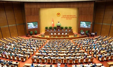 Không hình sự hóa rủi ro phát triển - Một triết lý lập pháp cho nhà nước kiến tạo