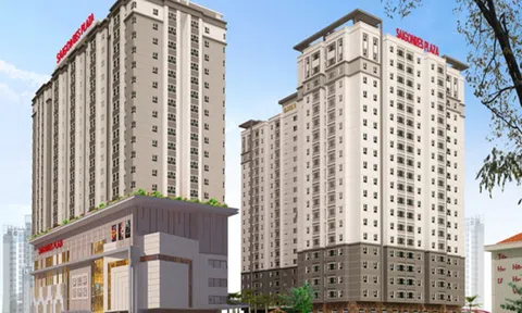 Một doanh nghiệp bất động sản lãi quý 2 giảm gần 69% vẫn chia cổ tức bằng cổ phiếu 20%