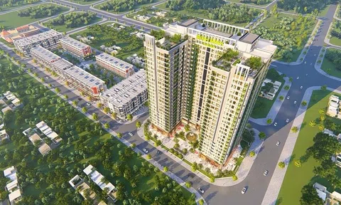Cen Land muốn vay ngắn hạn 600 tỷ đồng từ một doanh nghiệp bất động sản
