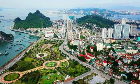 Quảng Ninh: Hàng chục sàn môi giới BĐS hoạt động ‘chui’ ở Hạ Long gây 'sốt' ảo