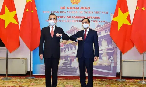 Bộ trưởng Ngoại giao Bùi Thanh Sơn hội đàm với Bộ trưởng Ngoại giao Trung Quốc Vương Nghị