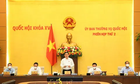 UBTVQH xem xét, quyết định miễn, giảm thuế; phê chuẩn bổ nhiệm nhân sự