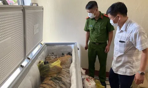 Hà Tĩnh: Khởi tố vụ án hình sự "Vi phạm quy định về bảo vệ động vật nguy cấp, quý, hiếm"