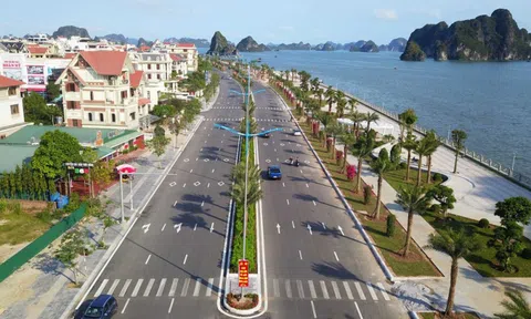 Hạ Long: Dự án đường bao biển "đẹp nhất Việt Nam" sử dụng cát lậu