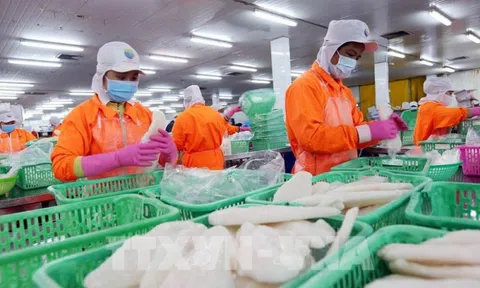 Cần Thơ: Hướng dẫn tạm thời phương án sản xuất, kinh doanh