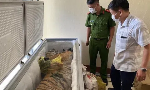 Hà Tĩnh: Khởi tố đối tượng tàng trữ cá thể hổ trong tủ đông lạnh