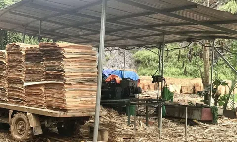 Trách nhiệm giải quyết các khiếu nại, tố cáo, kiến nghị về bảo vệ môi trường