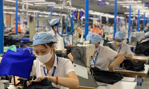 Người lao động cần làm gì để nhận hỗ trợ từ quỹ Bảo hiểm thất nghiệp?