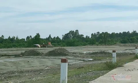 Chủ tịch CLB bóng đá Hải Phòng bị “tuýt còi” vì san lấp đất trái phép