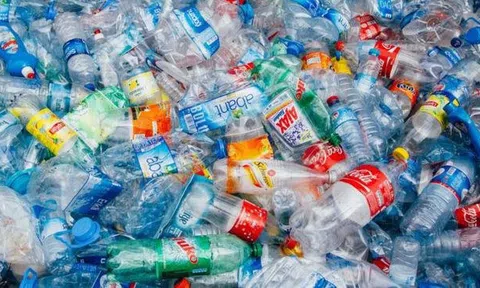 Việt Nam lãng phí gần 3 tỷ USD mỗi năm vì không tái chế rác thải nhựa