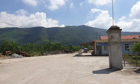 Dự án Nhà máy sản xuất nông - lâm sản Vinh Nhất (Thanh Hóa): Phát hiện hàng loạt sai phạm