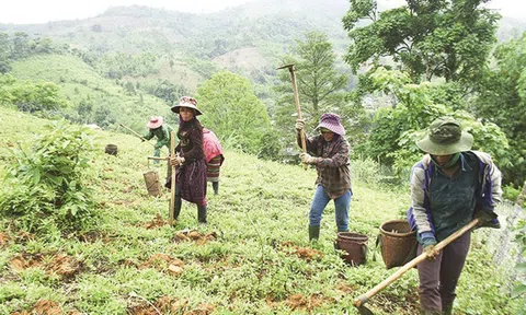 Đề xuất sửa đổi, bổ sung về giao đất, cho thuê đất