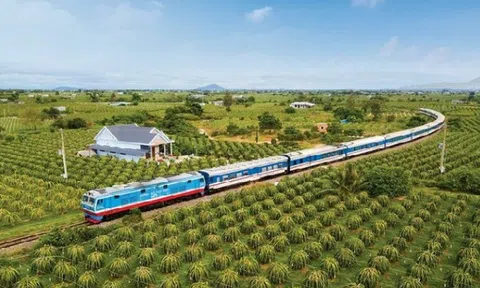 Chặng Hà Nội – TP HCM, “cháy vé” hàng không, đường sắt