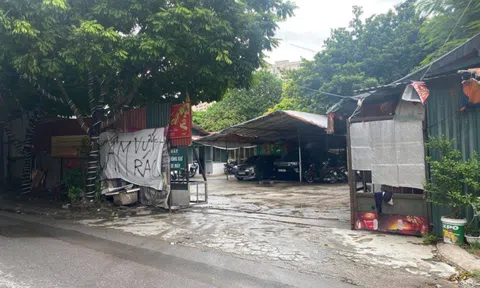 Phường Trung Văn (Hà Nội): Sai phạm tại khu vực vườn cây các cụ - Mấy đời chủ tịch phường không xử lý được