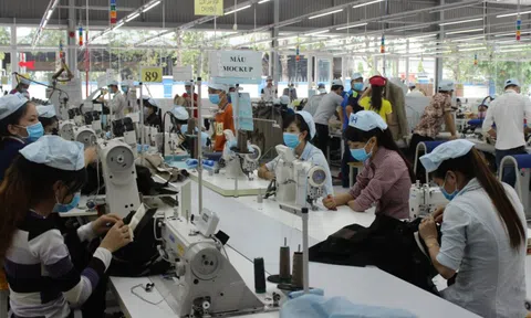 Tìm giải pháp khôi phục thị trường lao động sau đại dịch COVID-19