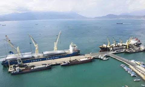 Cảng Cam Ranh vững bước đi lên sau 30 năm hình thành và phát triển